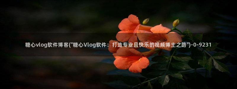糖心vlog传媒下载:糖心vlog软件博