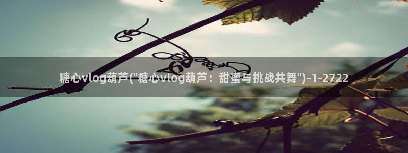 糖心vlog事件:糖心vlog葫芦(\