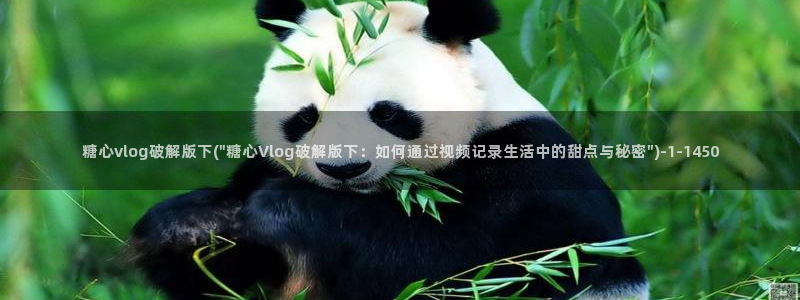 糖心vlog车模:糖心vlog破解版下(